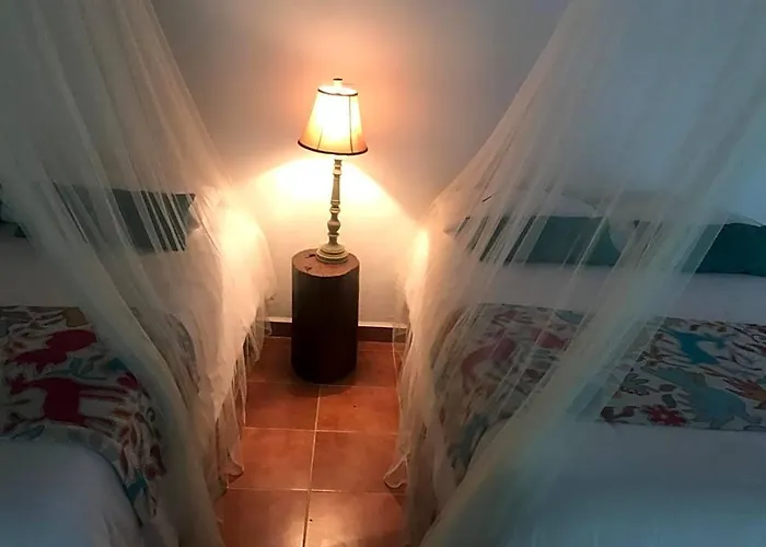 Ecovergel Hotel Riviera Maya