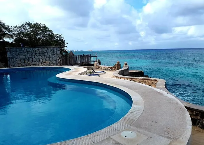 Tito'S Paradise