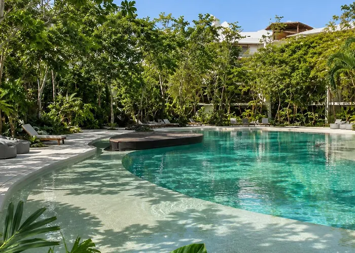 Oasis Yaaxlum Estudios