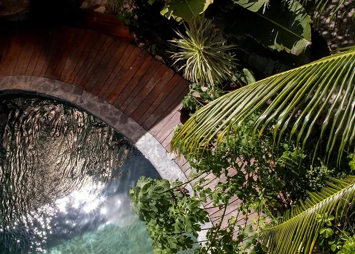 Botanica Tulum