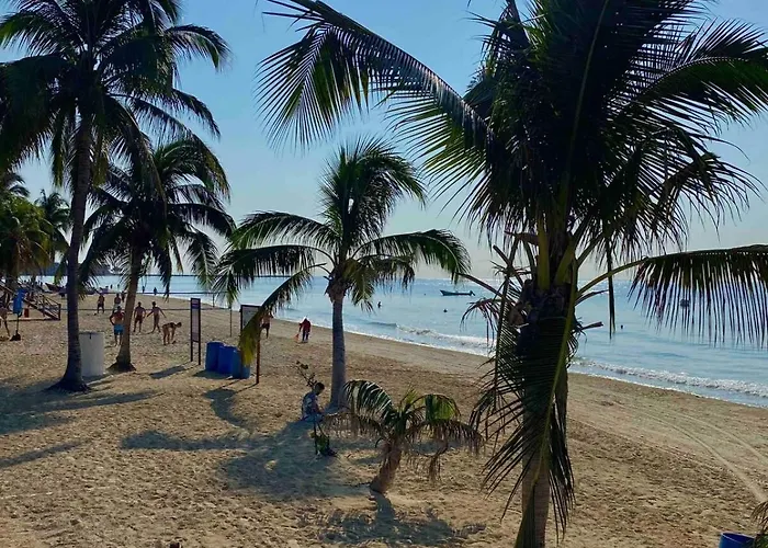 Apartmento En 5Th Av, Ferry, Estacion Ado, Plazas Y Mas