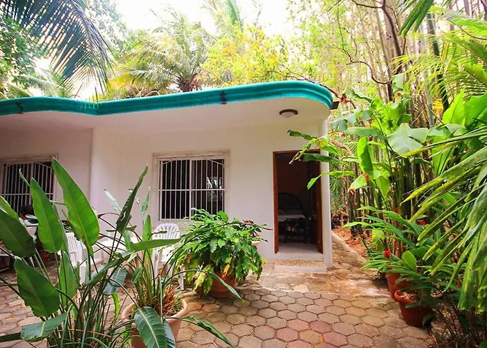 Quiet Studio In Nature Near The Beach And Fun!